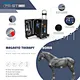 equine joint pemf therapy
